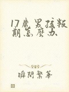 17岁男孩叛逆期怎么办