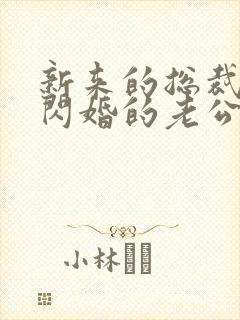 新来的总裁竟是闪婚的老公短剧免费观看