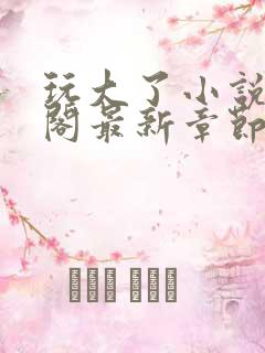 玩大了小说笔趣阁最新章节无弹窗