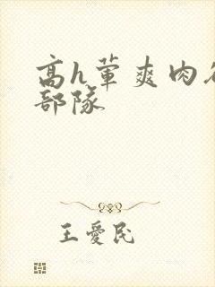 高h荤爽肉欲文部队