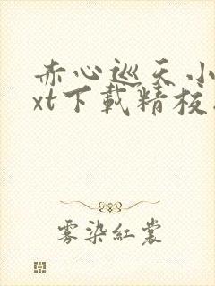 赤心巡天小说txt下载精校版