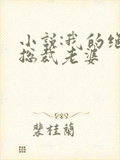 小说:我的绝美总裁老婆