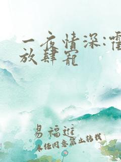 一夜情深:霍少放肆宠