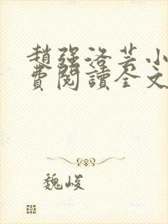 赵强洛芸小说免费阅读全文最新章节