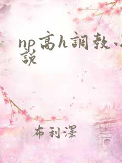 np高h调教小说