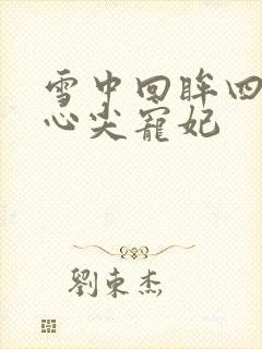 雪中回眸四爷的心尖宠妃