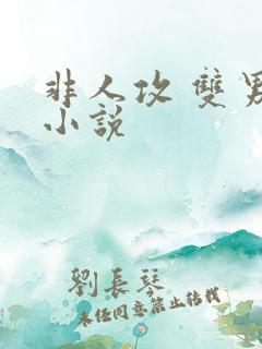 非人攻 双男主小说