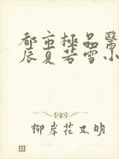 都市极品医神叶辰夏若雪小说免费