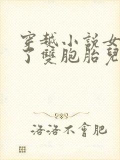 穿越小说女主生了双胞胎儿子