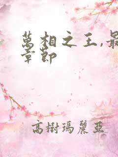 万相之王,最新章节