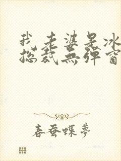 我老婆是冰山女总裁无弹窗