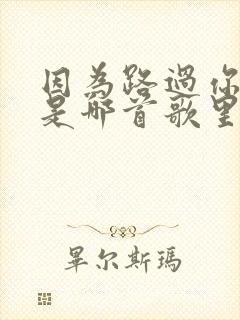 因为路过你的路是哪首歌里的歌词