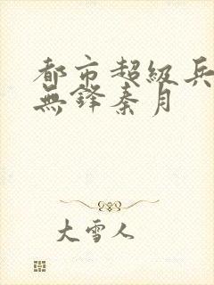 都市超级兵王李无锋秦月