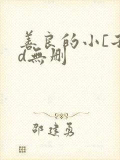 善良的小[子hd无删