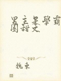 男主是学霸的校园甜文