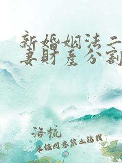 新婚姻法二婚夫妻财产分割