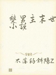 双男主末世修仙小说