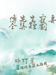 傅先生宠妻无度全集短剧