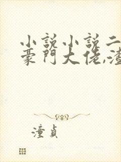 小说小说二婚嫁豪门大佬,渣前夫失了控