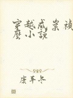 穿越成崇祯是什么小说