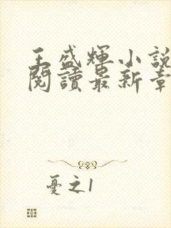 王盛辉小说免费阅读最新章节更新