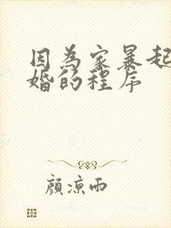 因为家暴起诉离婚的程序