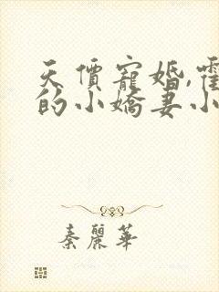 天价宠婚,霍总的小娇妻小说