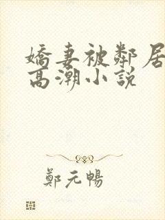 娇妻被邻居脔到高潮小说