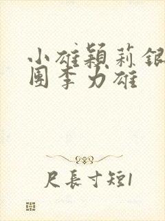 小雄颖莉银安集团李力雄