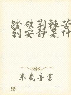 踏破荆棘苦中找到安静是什么歌