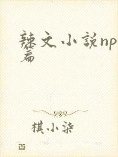 辣文小说np短篇