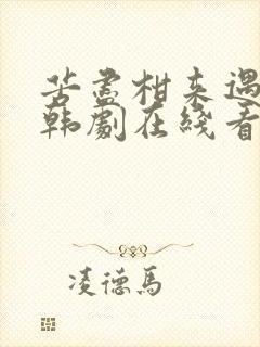 苦尽柑来遇见你韩剧在线看