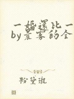 一婚还比一婚高by晨雾的全文阅读