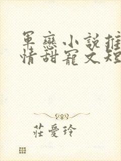 军恋小说推荐言情甜宠文短篇小说