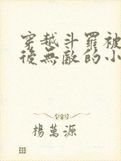 穿越斗罗被抛弃后无敌的小说