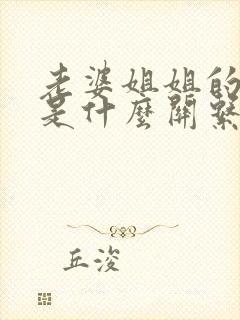 老婆姐姐的老公是什么关系