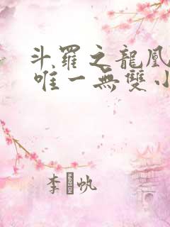 斗罗之龙凰传说 唯一无双小说