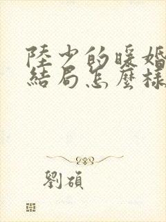 陆少的暖婚新妻结局怎么样