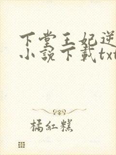 下堂王妃逆袭记小说下载txt