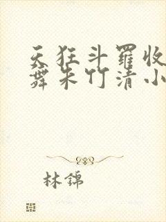 天狂斗罗收服小舞朱竹清小说