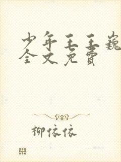 少年王王巍小说全文免费