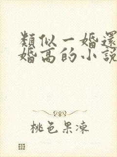 类似一婚还比一婚高的小说高干文