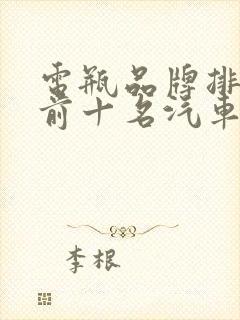 电瓶品牌排行榜前十名汽车