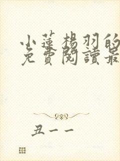 小莲杨羽的小说免费阅读最新章节