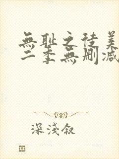 无耻之徒美版第二季无删减高清