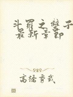 斗罗之双子斗罗 最新章节