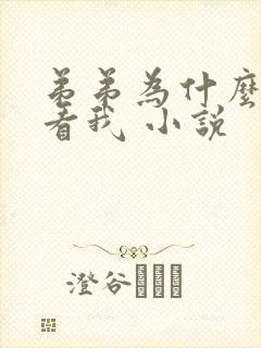 弟弟为什么这么看我 小说