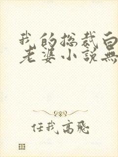 我的总裁白富美老婆小说无广告