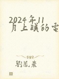 2024年11月上映的电影有哪些
