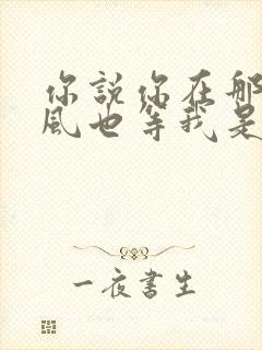 你说你在那里等风也等我是哪首歌的歌词